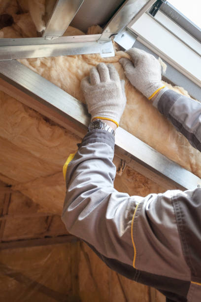 Best Professional Insulation Contractor  in East Peoria, IL