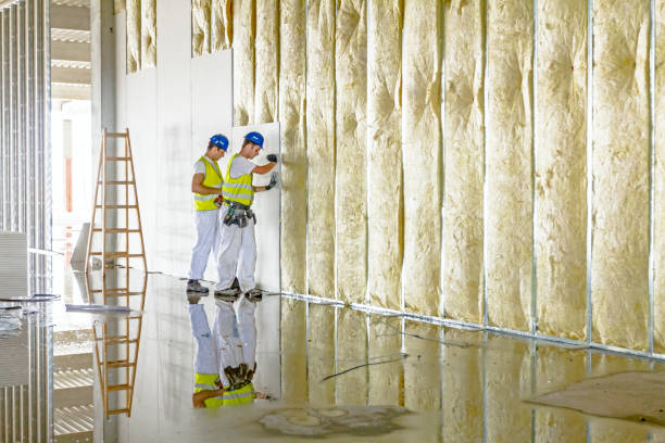 Best Insulation Removal  in East Peoria, IL